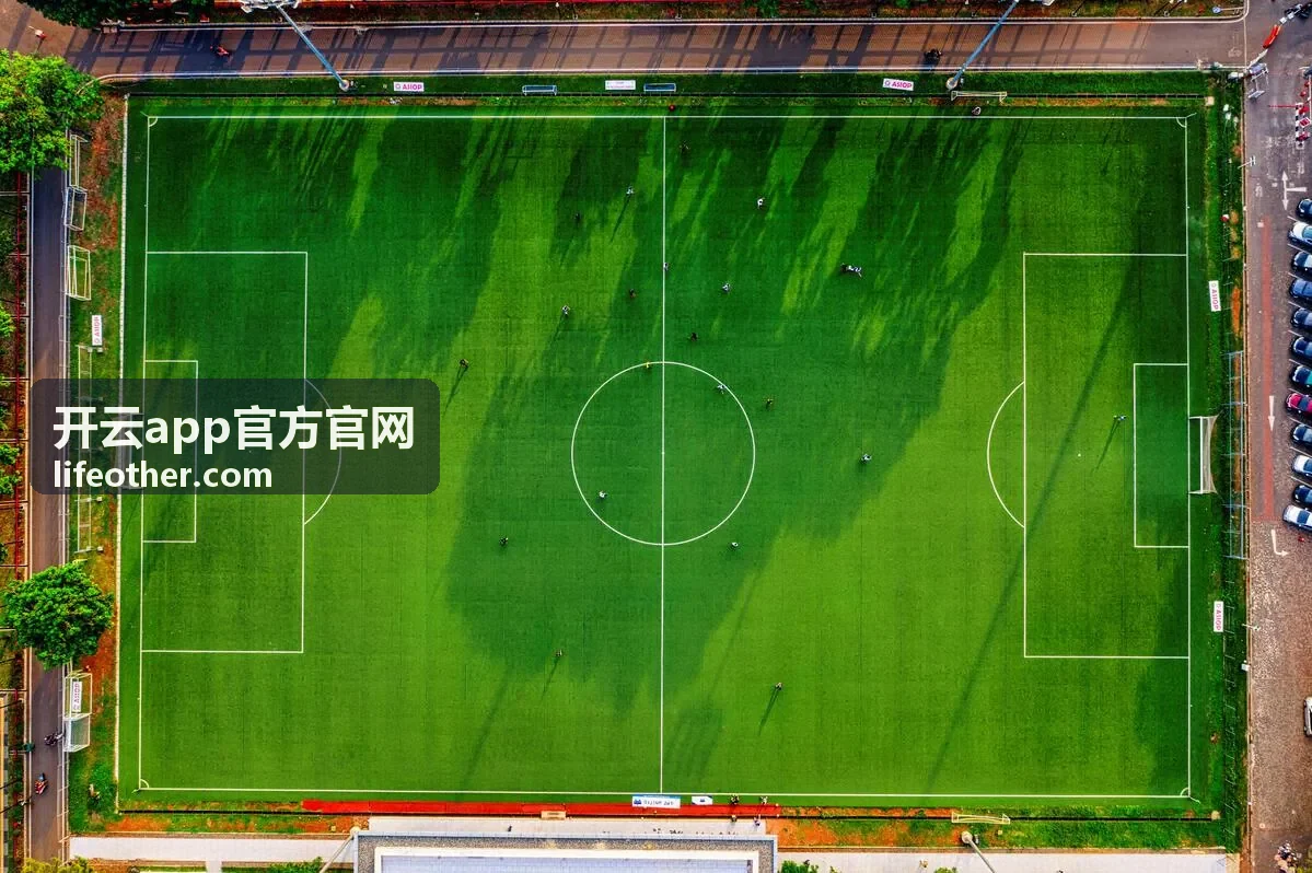 开云app官方官网 功能与答疑页面示意